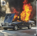 Portugal the Man : Woodstock LP, clear vinyl