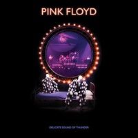 Pink Floyd : Delicate Sound of Thunder 2-CD