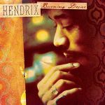 Hendrix, Jimi : Burning Desire 2-LP, translucent orange & red vinyl Black Friday 2022