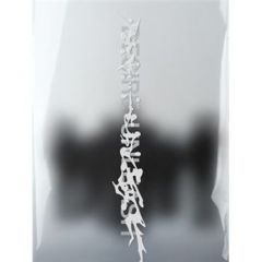 ENHYPEN : DESIRE : UNLEASH CD (MAKE Ver.)