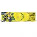 De La Soul : 3 Feet High and Rising 2-LP, opaque yellow vinyl with comic insert