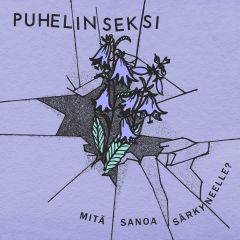 Puhelinseksi : Mitä sanoa särkyneelle? LP, transparent magenta vinyl