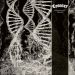 Coroner : Dissonance Theory LP