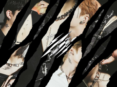 Stray Kids : Scars CD (Limited C Edition)