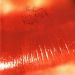 The Cure : Kiss me, kiss me, kiss me 2-LP