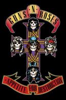 Guns n Roses Appetite 61 x 91 cm Juliste (6)