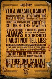 Harry Potter Quotes 61 x 91 cm Juliste