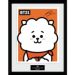BTS BT21 RJ 30x 40cm Taulu
