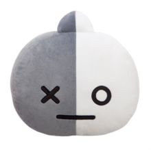 BTS BT21 Van 30cm Tyyny