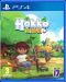 Hokko Life PS4