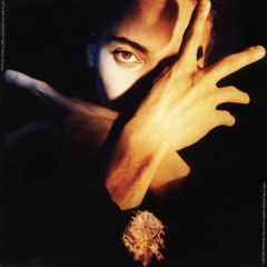 Terence Trent Darby : Terence Trent D'Arby's Neither Fish Nor Flesh: A Soundtrack Of Love, Faith, Hope, And Destruction CD *käytetty*