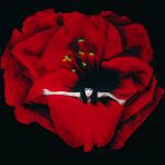 Smashing Pumpkins : Adore 2-LP