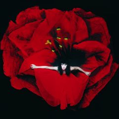 Smashing Pumpkins : Adore 2-LP
