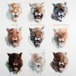 Von Hertzen Brothers : Nine Lives Deluxe Limited Edition CD *käytetty*