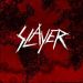 Slayer : World Painted Blood LP