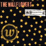 The Wallflowers : Bringing Down The Horse CD *käytetty*