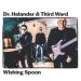 Dr. Helander & Third Ward : Wishing Spoon CD