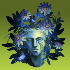 Stoned Statues : Nothing Is Ever Over LP