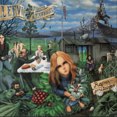 Leevi and the Leavings : Raparperitaivas LP, transparent green vinyl