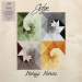 Gotye : Making Mirrors 2-LP, cream vinyl