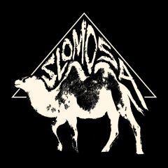 Slomosa : S/T LP