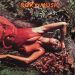 Roxy Music : Stranded CD *käytetty*