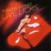 The Rolling Stones : Live Licks 2-CD *käytetty*