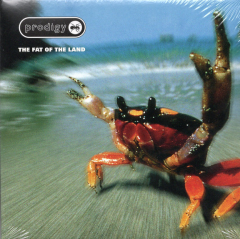 Prodigy : The Fat of the Land CD