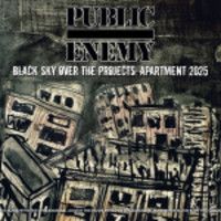 Public Enemy : Black Sky Over The Projects: Apartment 2025 LP