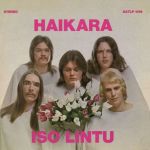 Haikara : Iso lintu LP