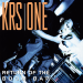 KRS-One : Return of the Boom Bap 2-LP