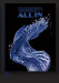 P1harmony : Harmony: All In CD (FLOW IN VER.)