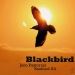 Ali, Rashied / Pastorius, Jaco : Blackbird LP, green vinyl