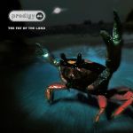 Prodigy : Fat of the land 2-LP 25th Anniversary limited edition silver 