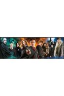 Harry Potter Characters Panorama Palapeli, 1000 palaa
