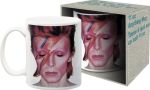 David Bowie Aladdin Sane muki