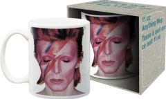 David Bowie Aladdin Sane muki