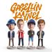 Gasellit : Gasellin kyynel LP