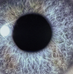 Swanö, Dan : Moontower Limited Edition 2-CD