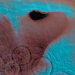 Pink Floyd : Meddle CD *käytetty*