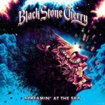 Black Stone Cherry : Screamin at the Sky CD