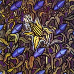 Bad Religion : Against the Grain LP