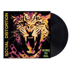 Social Distortion : Born to Kill 2-LP