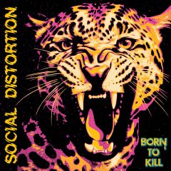 Social Distortion : Born to Kill CD