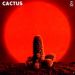 Cactus : Cactus LP