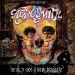 Aerosmith : Devils Got a New Disguise - The Best of Aerosmith CD *käytetty*
