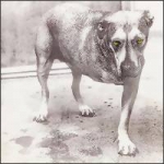 Alice in Chains : Alice in Chains CD
