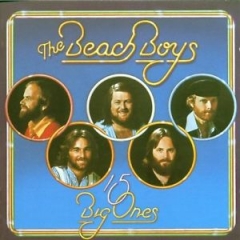 Beach Boys : 15 Big Ones CD