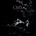 CMX : Pedot LP