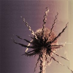 Dead Vibrations: S/T Digipak CD